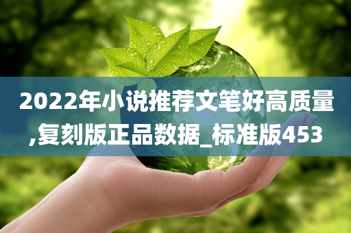 2022年小说推荐文笔好高质量,复刻版正品数据_标准版453