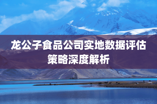 龙公子食品公司实地数据评估策略深度解析