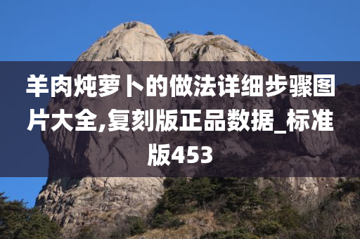 羊肉炖萝卜的做法详细步骤图片大全,复刻版正品数据_标准版453