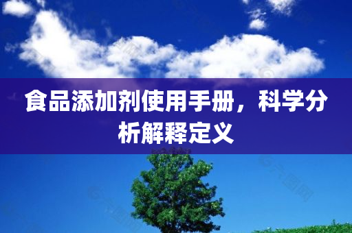 食品添加剂使用手册，科学分析解释定义