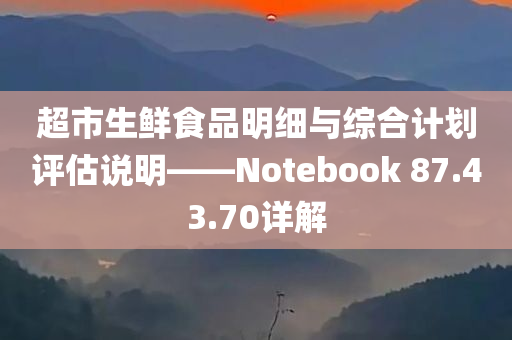 超市生鲜食品明细与综合计划评估说明——Notebook 87.43.70详解