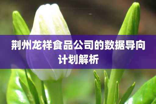 荆州龙祥食品公司的数据导向计划解析