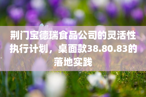 荆门宝德瑞食品公司的灵活性执行计划，桌面款38.80.83的落地实践