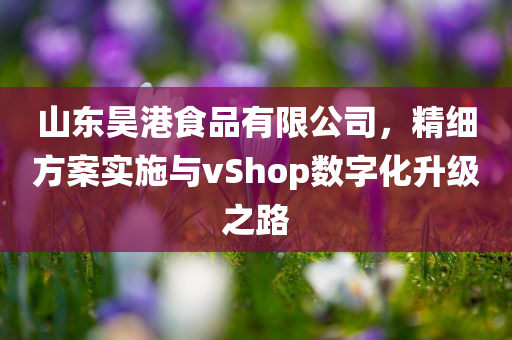 山东昊港食品有限公司，精细方案实施与vShop数字化升级之路