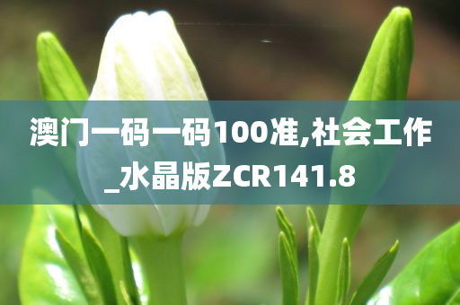 澳门一码一码100准,社会工作_水晶版ZCR141.8