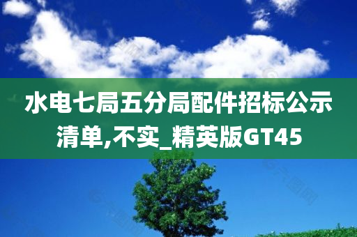 水电七局五分局配件招标公示清单,不实_精英版GT45