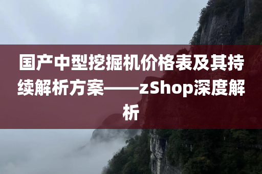 国产中型挖掘机价格表及其持续解析方案——zShop深度解析