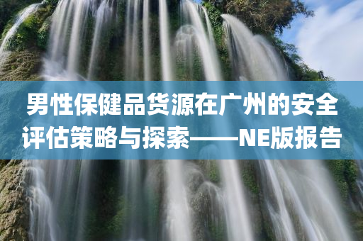 男性保健品货源在广州的安全评估策略与探索——NE版报告