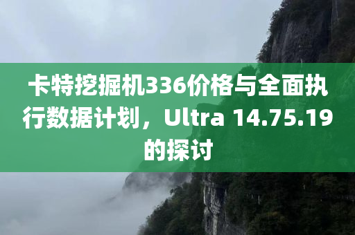 卡特挖掘机336价格与全面执行数据计划，Ultra 14.75.19的探讨