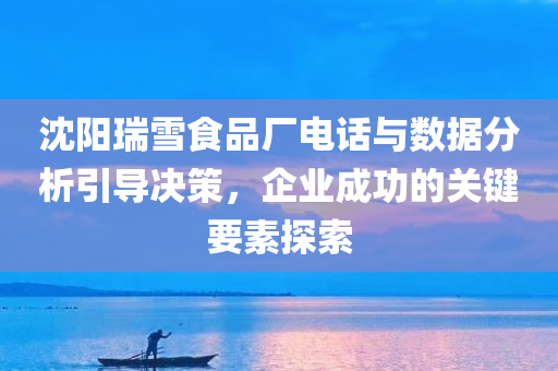 沈阳瑞雪食品厂电话与数据分析引导决策，企业成功的关键要素探索