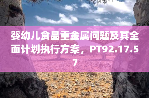 婴幼儿食品重金属问题及其全面计划执行方案，PT92.17.57