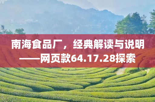 南海食品厂，经典解读与说明——网页款64.17.28探索