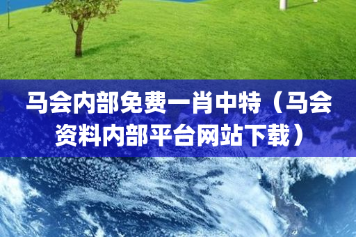 马会内部免费一肖中特（马会资料内部平台网站下载）