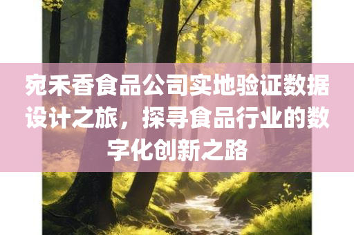 宛禾香食品公司实地验证数据设计之旅，探寻食品行业的数字化创新之路