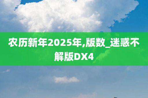 农历新年2025年,版数_迷惑不解版DX4