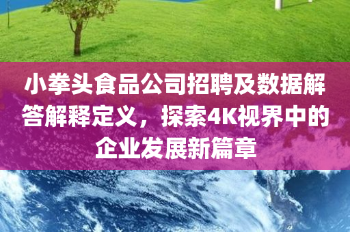 小拳头食品公司招聘及数据解答解释定义，探索4K视界中的企业发展新篇章