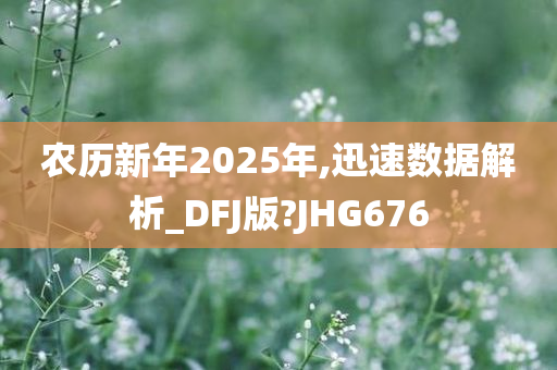 农历新年2025年,迅速数据解析_DFJ版?JHG676