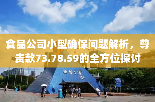 食品公司小型确保问题解析，尊贵款73.78.59的全方位探讨