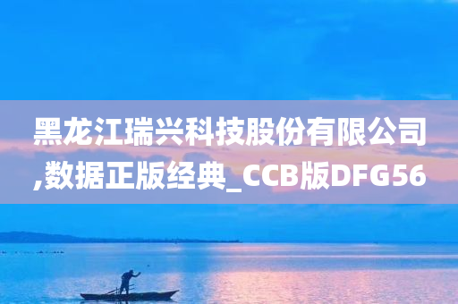 黑龙江瑞兴科技股份有限公司,数据正版经典_CCB版DFG56