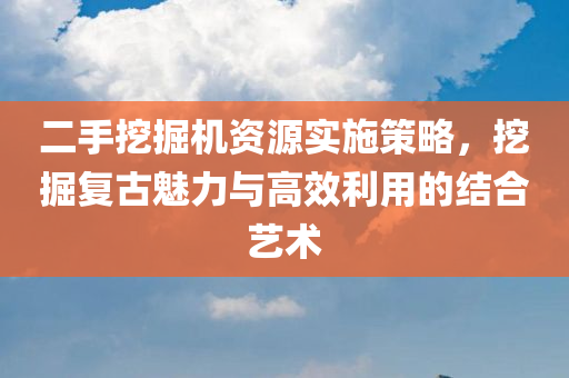 二手挖掘机资源实施策略，挖掘复古魅力与高效利用的结合艺术