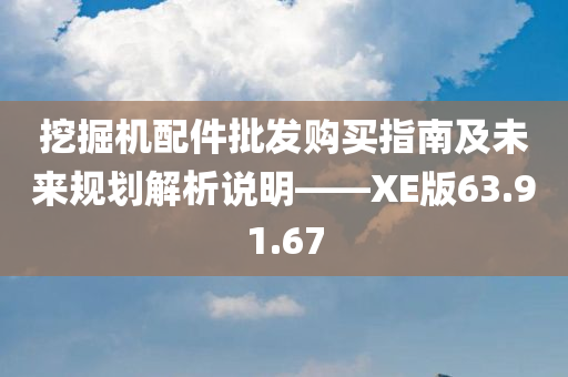 挖掘机配件批发购买指南及未来规划解析说明——XE版63.91.67