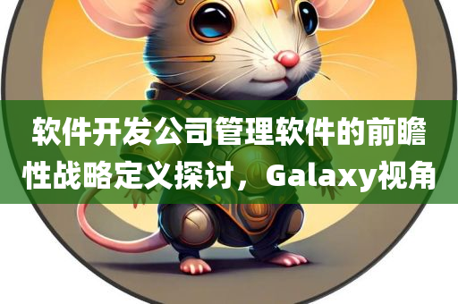 软件开发公司管理软件的前瞻性战略定义探讨，Galaxy视角