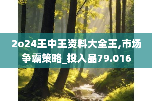 2o24王中王资料大全王,市场争霸策略_投入品79.016