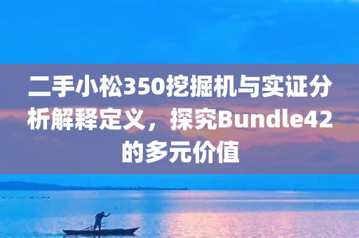 二手小松350挖掘机与实证分析解释定义，探究Bundle42的多元价值