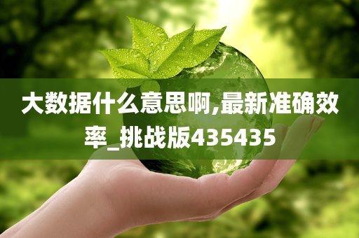 大数据什么意思啊,最新准确效率_挑战版435435