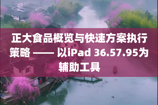 正大食品概览与快速方案执行策略 —— 以iPad 36.57.95为辅助工具