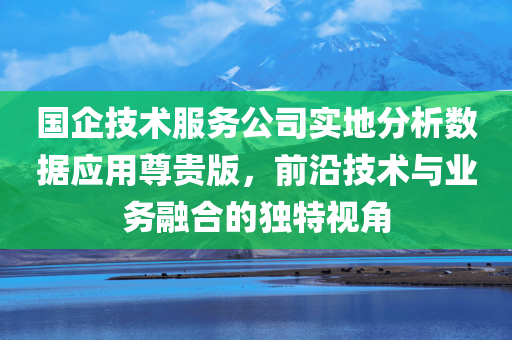 国企技术服务公司实地分析数据应用尊贵版，前沿技术与业务融合的独特视角