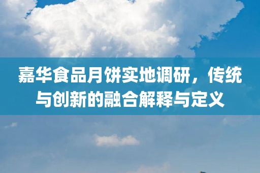 嘉华食品月饼实地调研，传统与创新的融合解释与定义