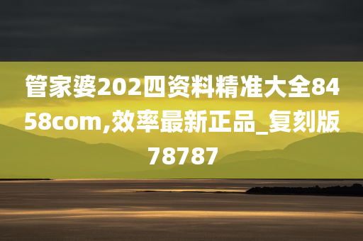 管家婆202四资料精准大全8458com,效率最新正品_复刻版78787