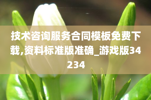 技术咨询服务合同模板免费下载,资料标准版准确_游戏版34234