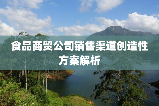 食品商贸公司销售渠道创造性方案解析