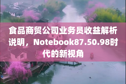 食品商贸公司业务员收益解析说明，Notebook87.50.98时代的新视角