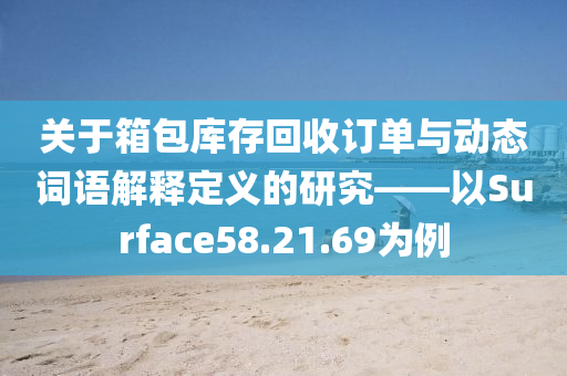 关于箱包库存回收订单与动态词语解释定义的研究——以Surface58.21.69为例