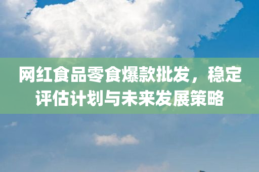 网红食品零食爆款批发，稳定评估计划与未来发展策略