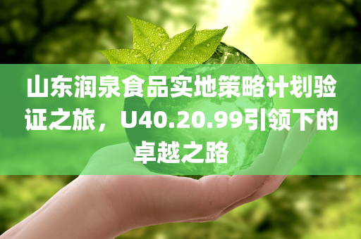 山东润泉食品实地策略计划验证之旅，U40.20.99引领下的卓越之路