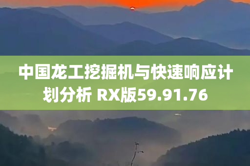 中国龙工挖掘机与快速响应计划分析 RX版59.91.76