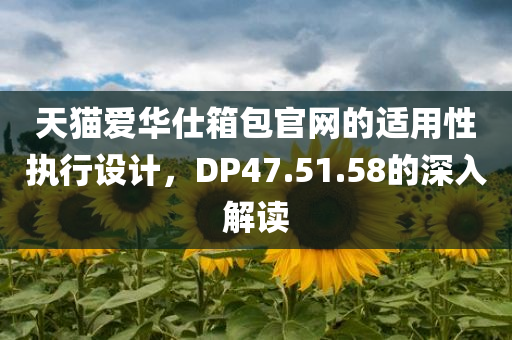 天猫爱华仕箱包官网的适用性执行设计，DP47.51.58的深入解读