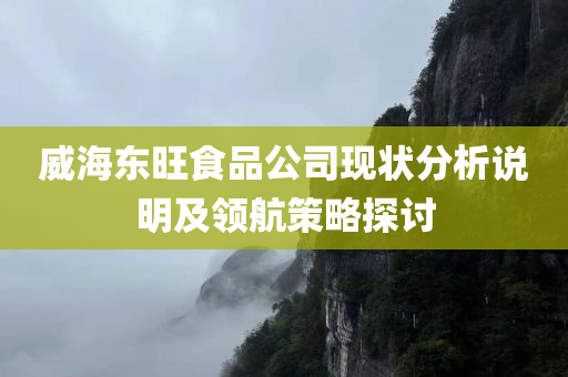 威海东旺食品公司现状分析说明及领航策略探讨