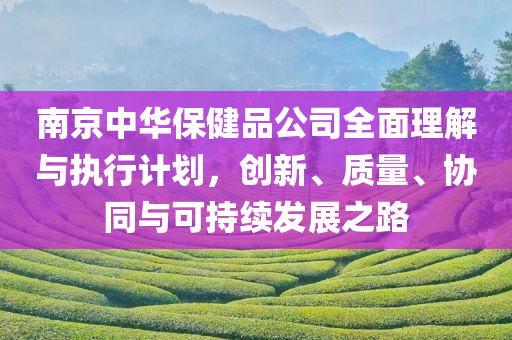 南京中华保健品公司全面理解与执行计划，创新、质量、协同与可持续发展之路