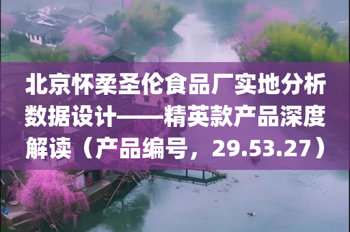 北京怀柔圣伦食品厂实地分析数据设计——精英款产品深度解读（产品编号，29.53.27）