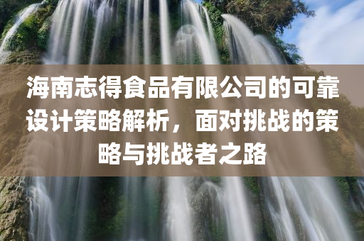 海南志得食品有限公司的可靠设计策略解析，面对挑战的策略与挑战者之路