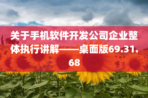 关于手机软件开发公司企业整体执行讲解——桌面版69.31.68