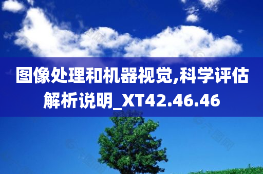 图像处理和机器视觉,科学评估解析说明_XT42.46.46