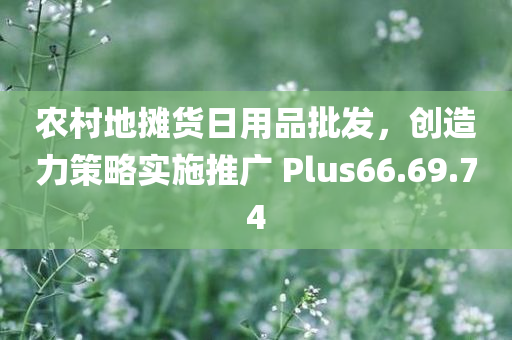 农村地摊货日用品批发，创造力策略实施推广 Plus66.69.74