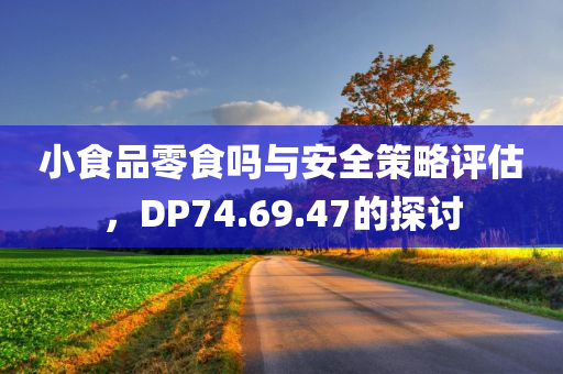 小食品零食吗与安全策略评估，DP74.69.47的探讨