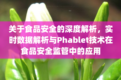 关于食品安全的深度解析，实时数据解析与Phablet技术在食品安全监管中的应用